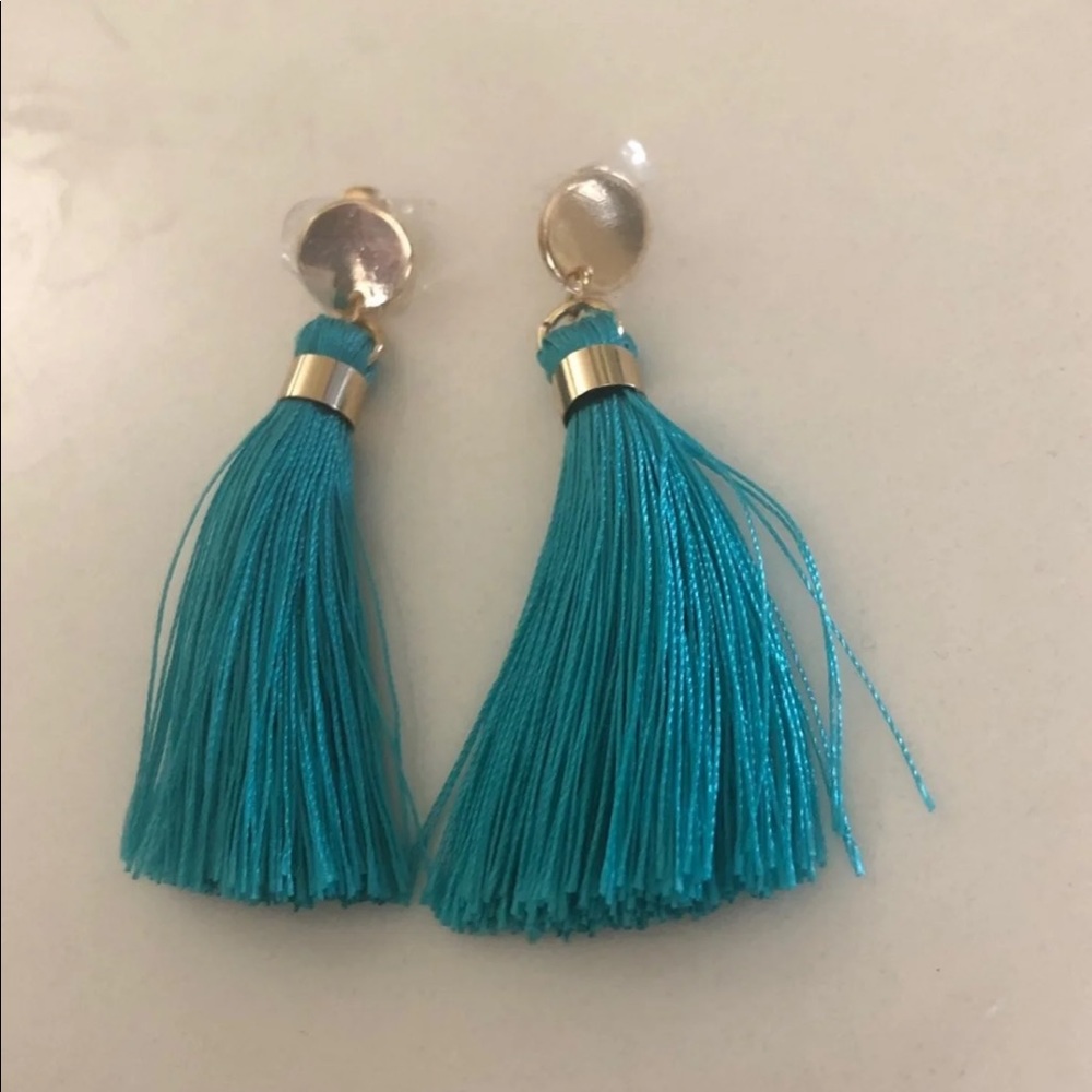 Turquoise Fringe Tassel Earrings